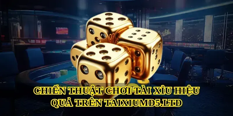 Chiến Thuật Chơi Tài Xỉu Hiệu Quả Trên Taixiumd5.ltd